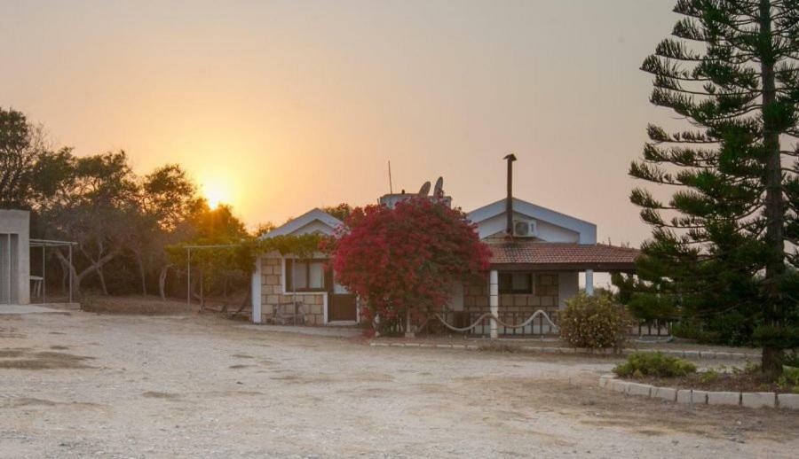 Balci Plaza Hotel And Balci Plaza Guest Bungalows Karpaz Peninsula Selenias Экстерьер фото